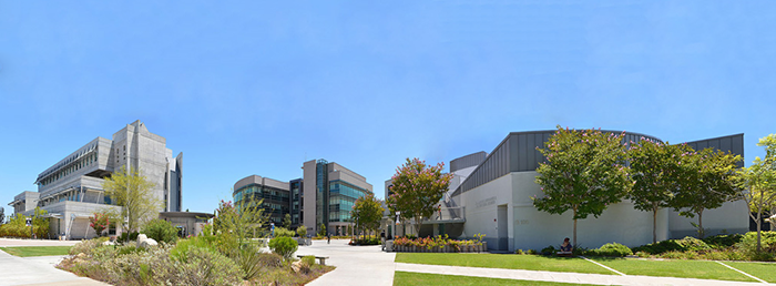 background image of header